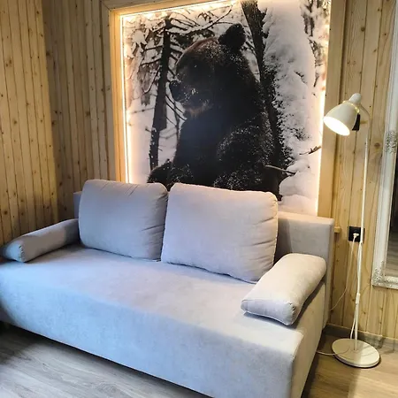 Homestay Goscinne U Paliderki Poronin