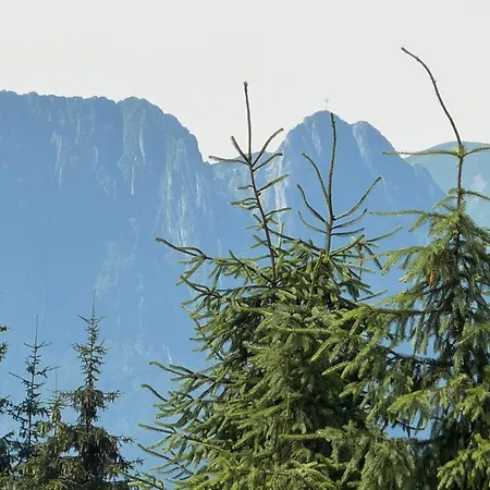 Séjour chez l'habitant Jama Niedzwiedzia Z Widokiem Na Giewont *